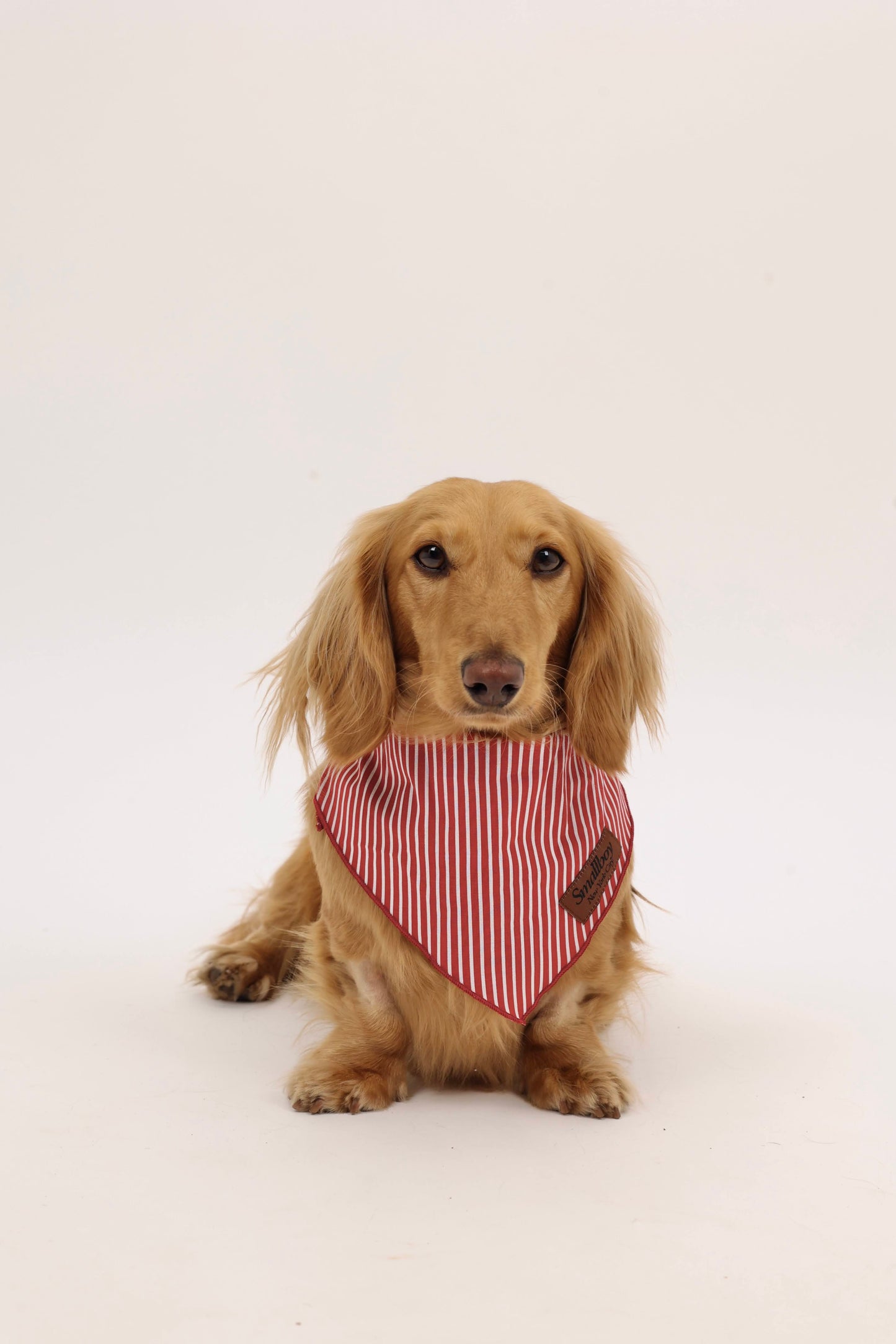 Sweet Cherry Bandana