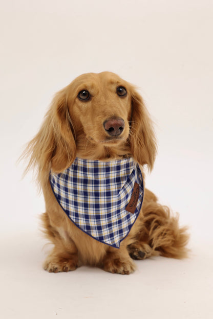 Lakeside Pup Bandana