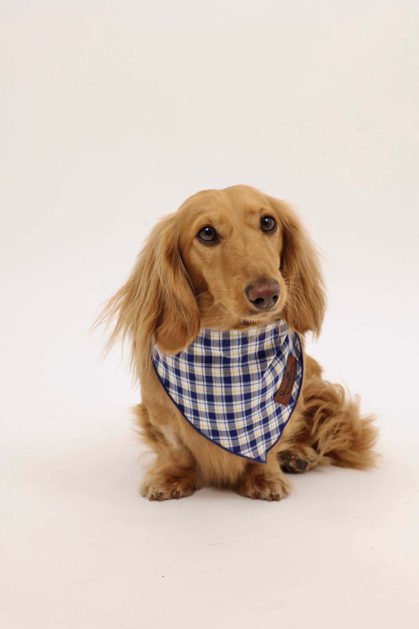 Lakeside Pup Bandana