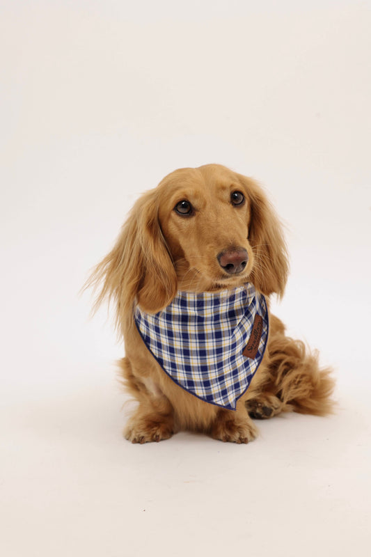 Lakeside Pup Bandana