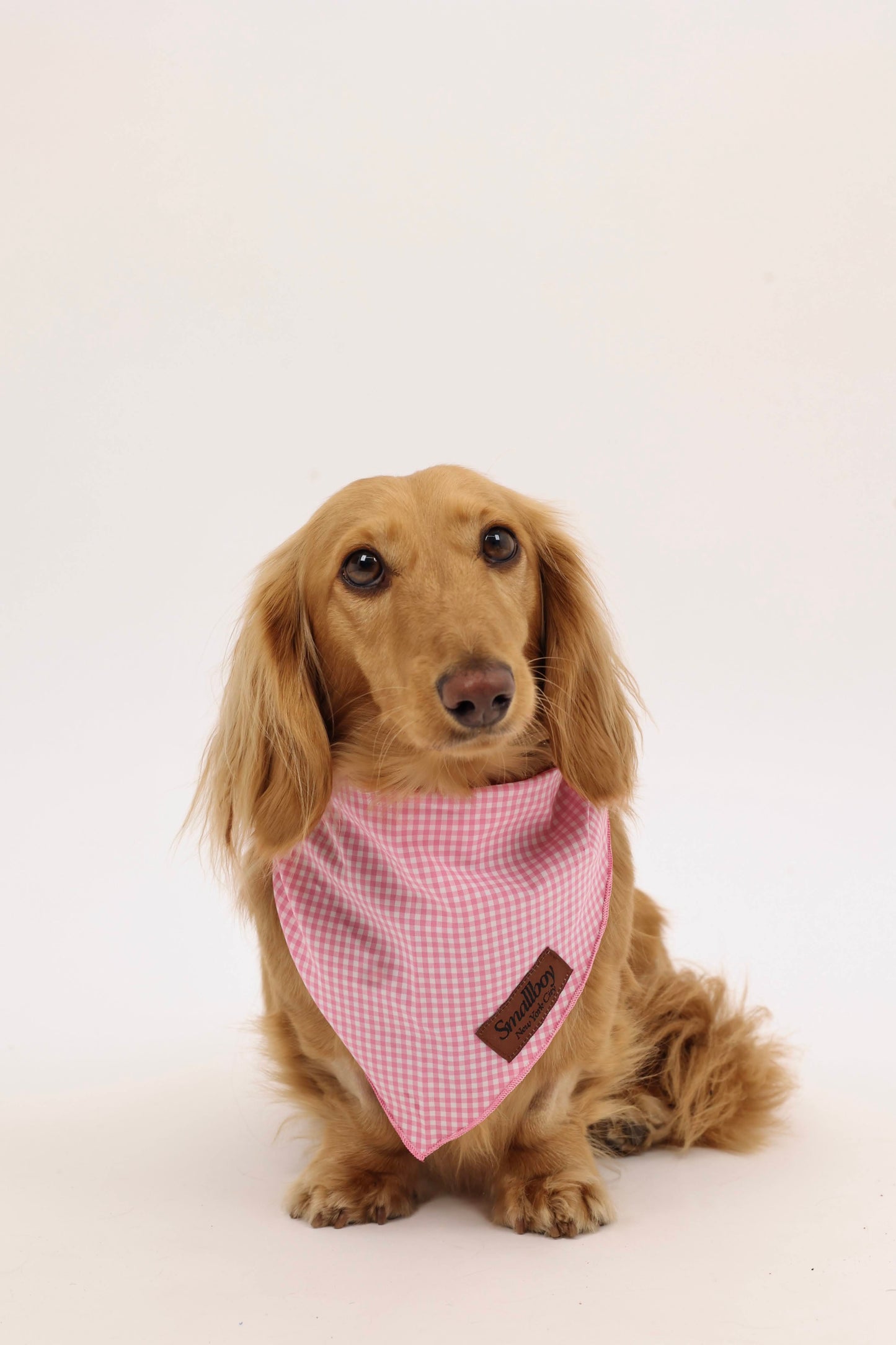 Picnic Pup Bandana