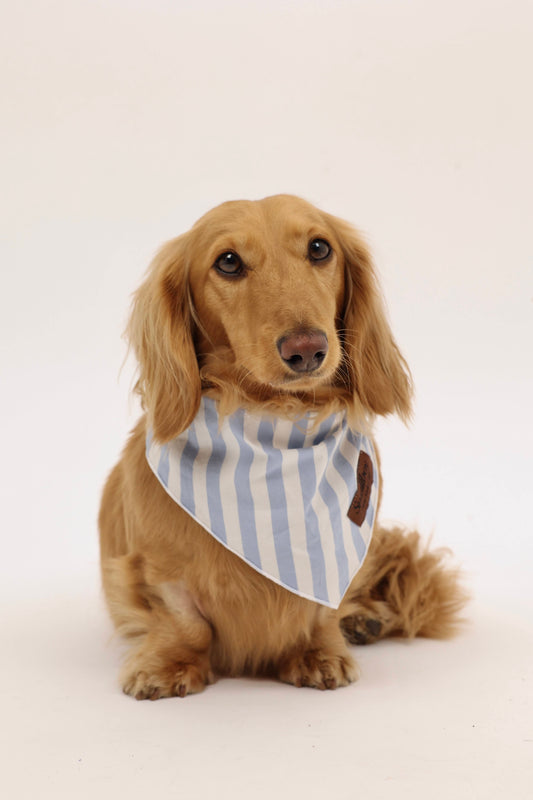 Coastal Breeze Bandana