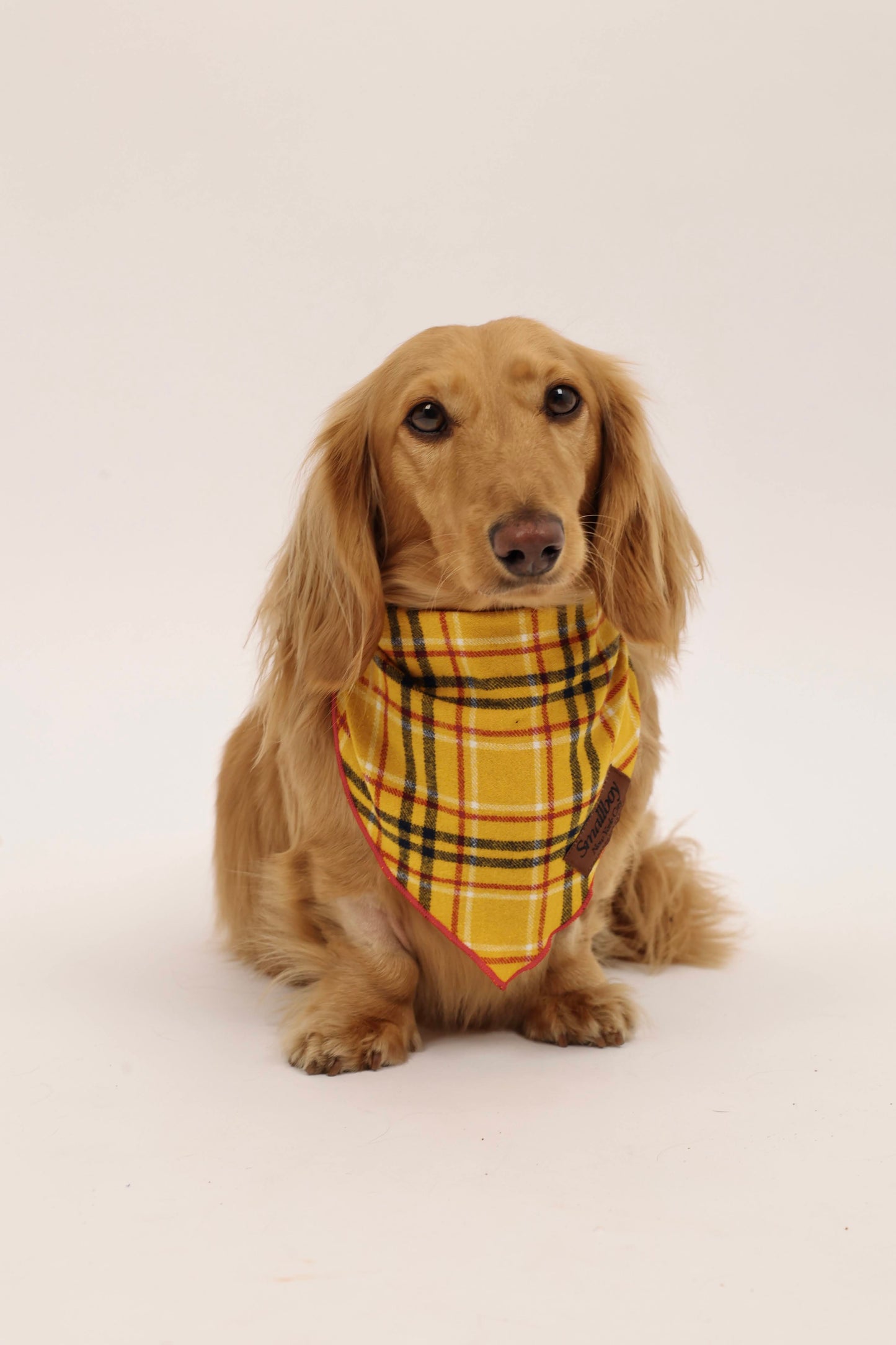 Daisy Duke Bandana