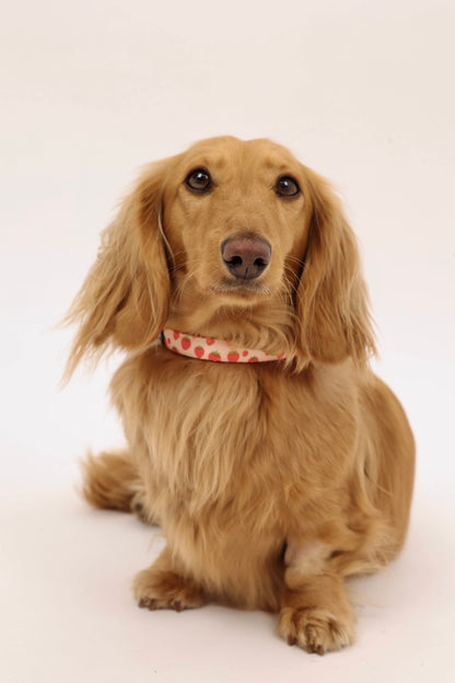 Sweet Strawberry Collar