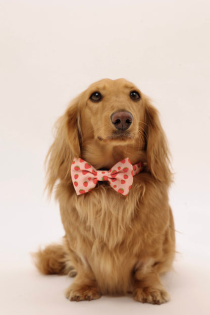 Sweet Strawberry Bowtie