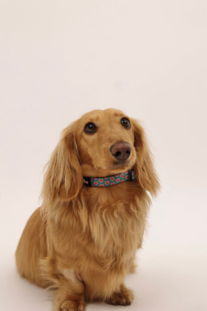 Sweetheart Collar