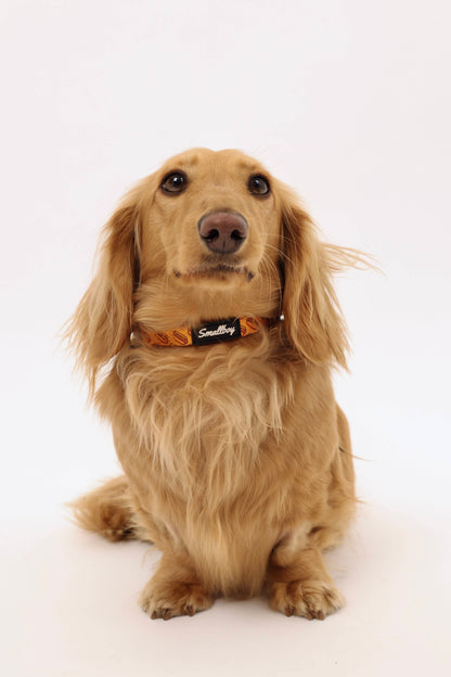 Hot Dog Collar