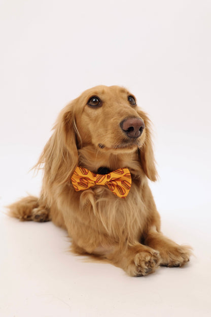 Hot Dog Bowtie