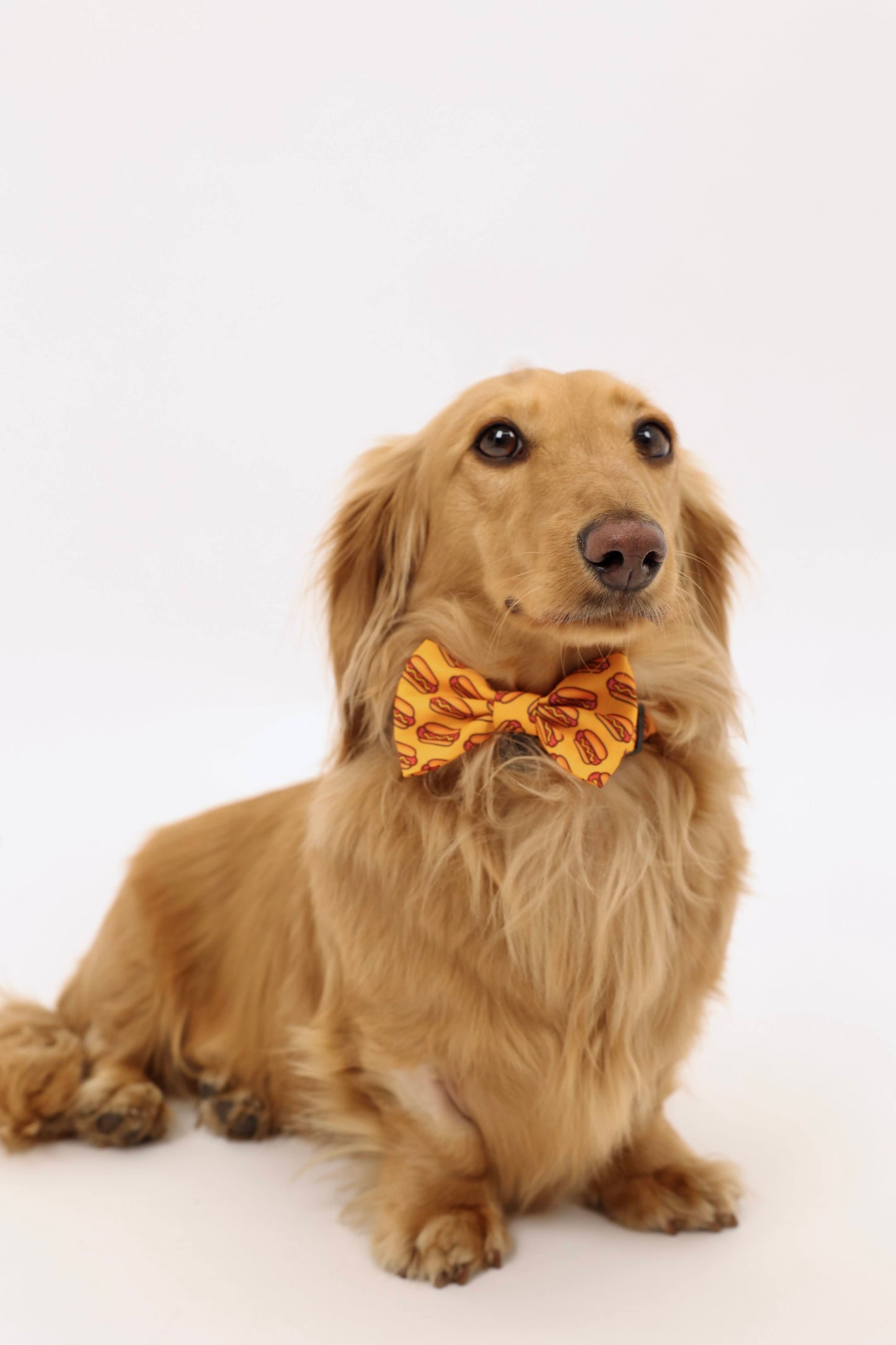 Hot Dog Bowtie