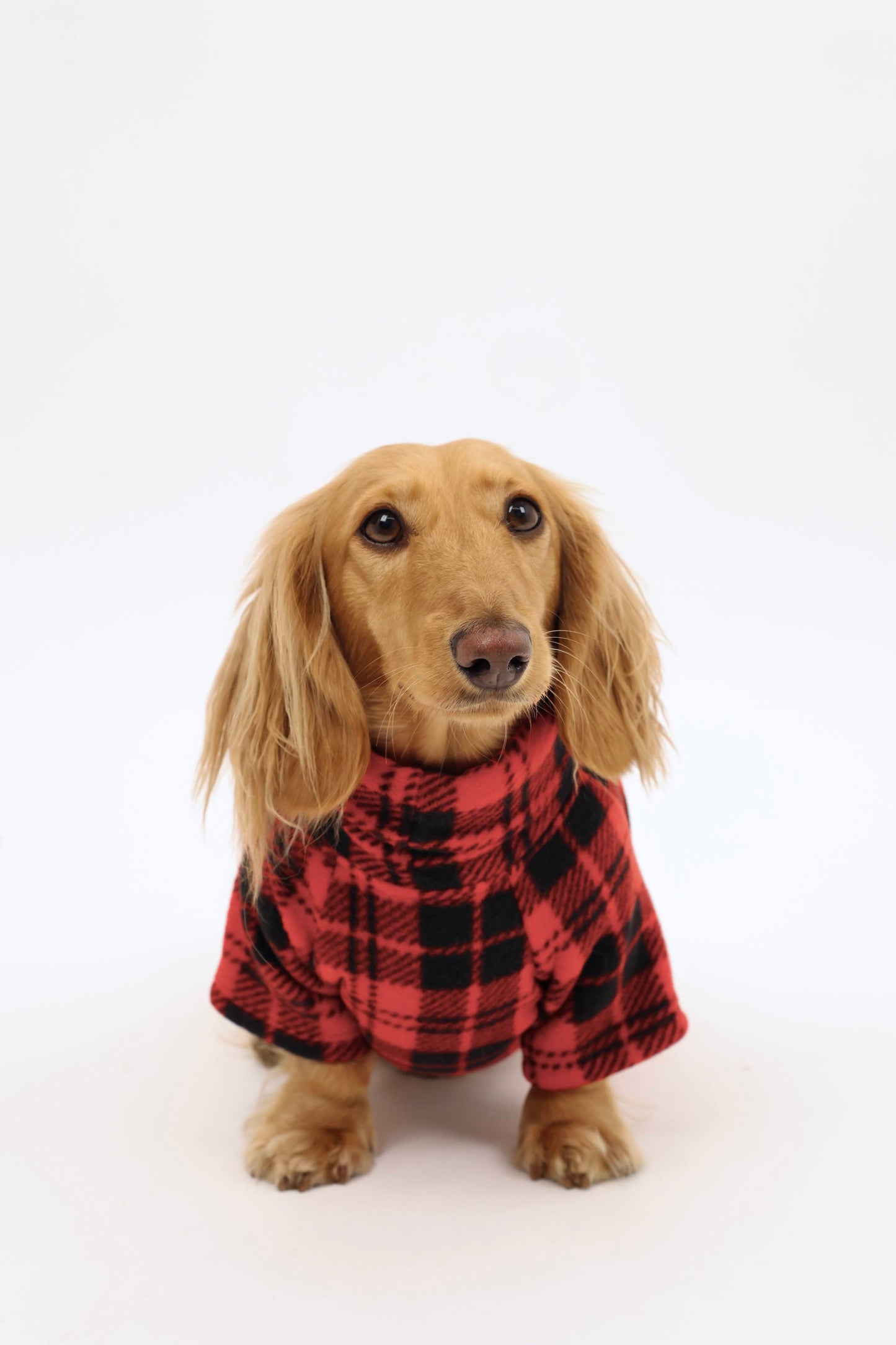 Campfire Coat Dog Sweater