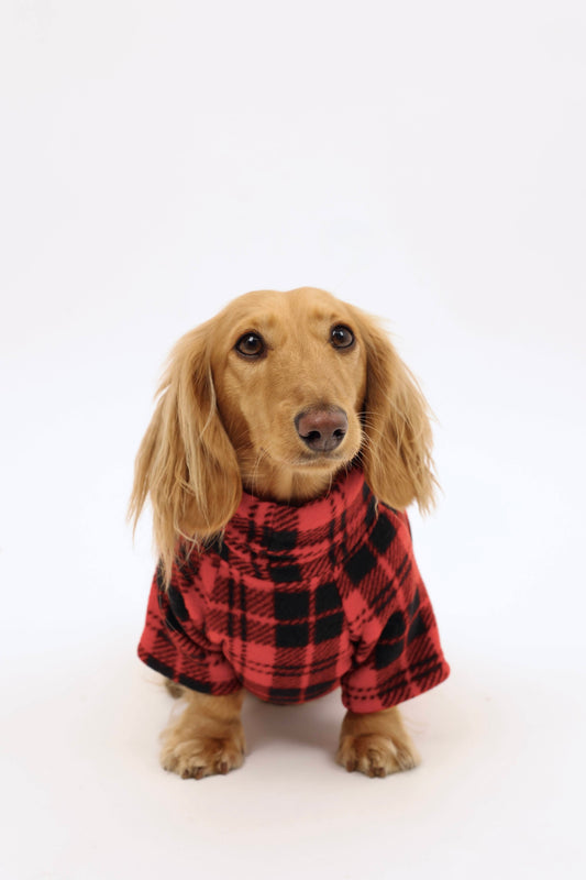 Campfire Coat Dog Sweater