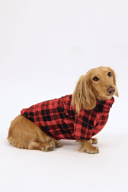 Campfire Coat Dog Sweater