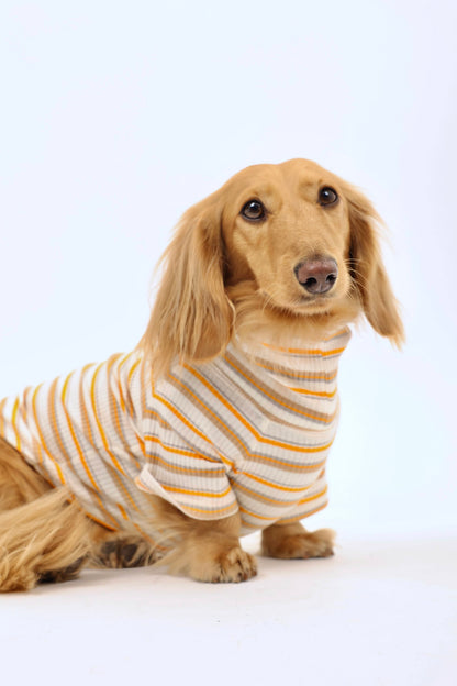 Caramel Drizzle Dog Shirt