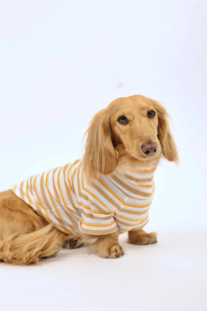 Caramel Drizzle Dog Shirt