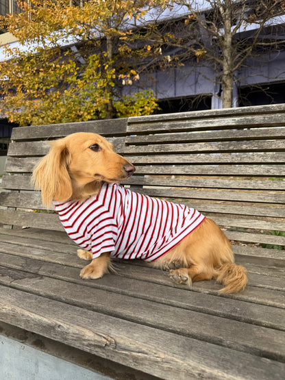 Red and White Duo Dog Sweater