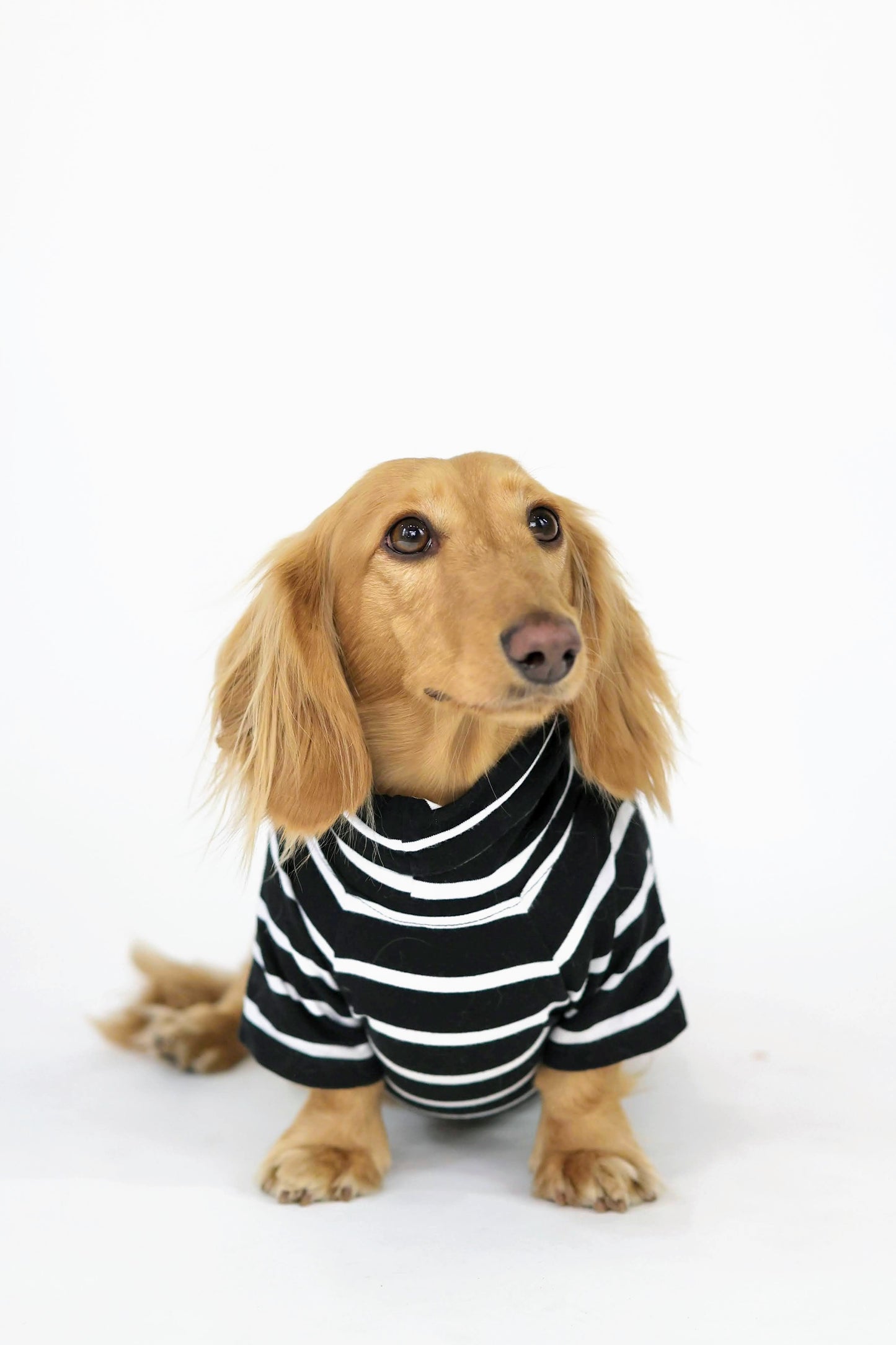 Brown Sugar & Charcoal Striped Dog Sweater
