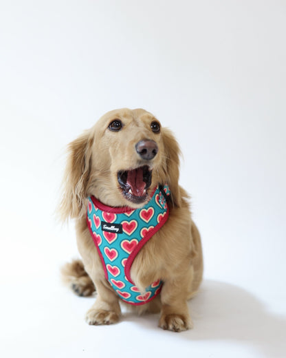 Sweetheart Harness