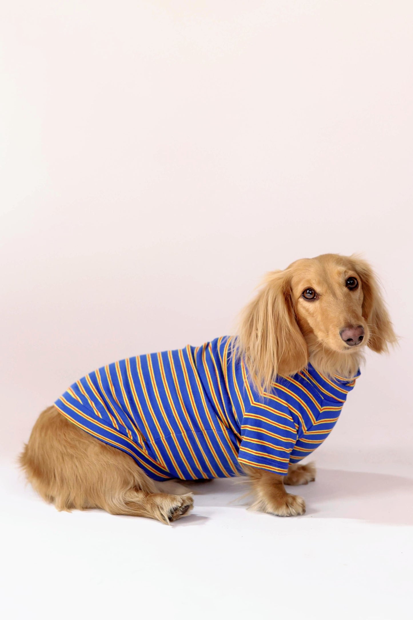 Ballpark Classic Dog Sweater