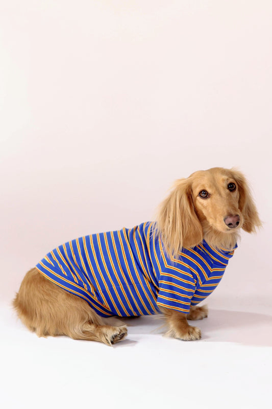 Ballpark Classic Dog Sweater