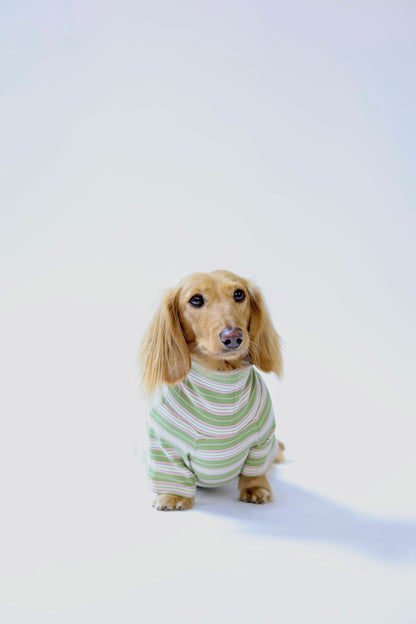 Evergreen Dog Shirt