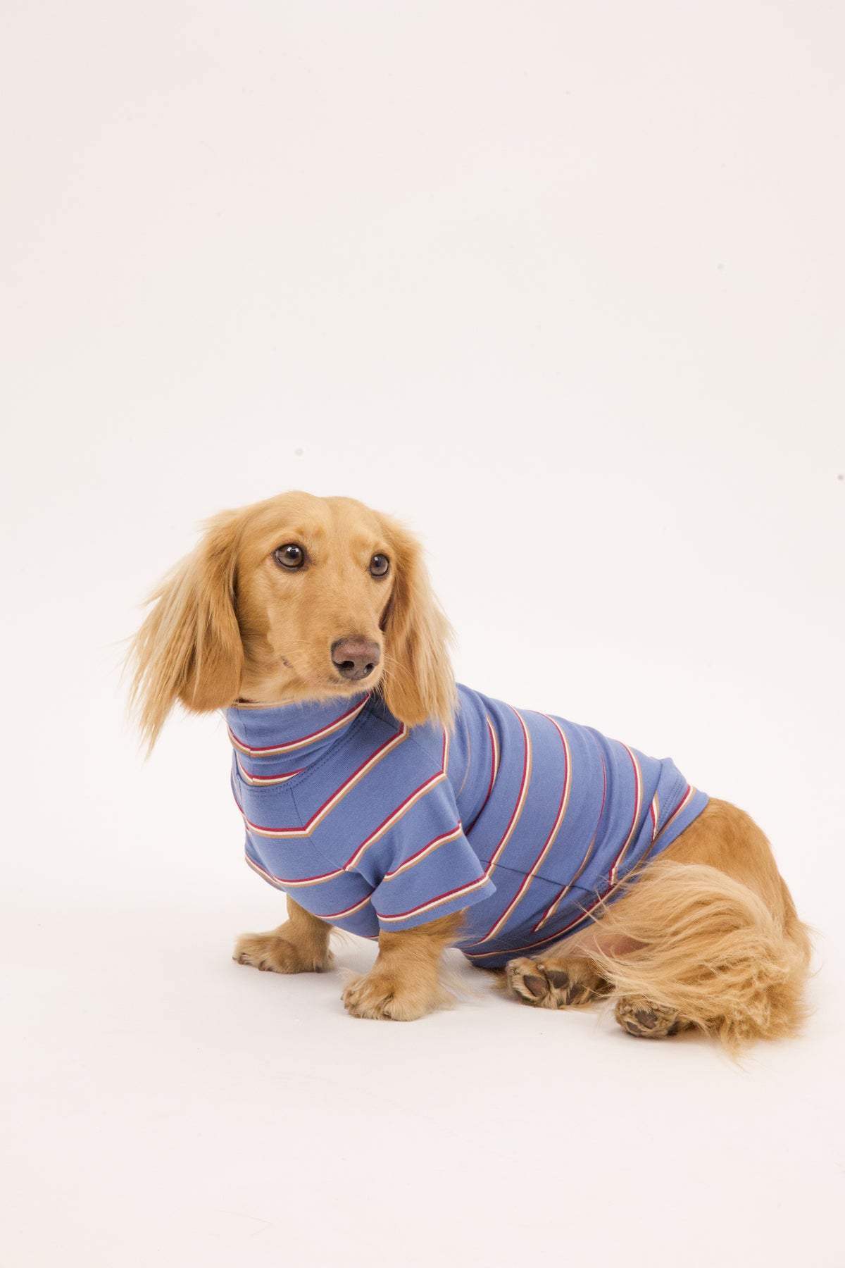 Sunday Blues Dog Shirt