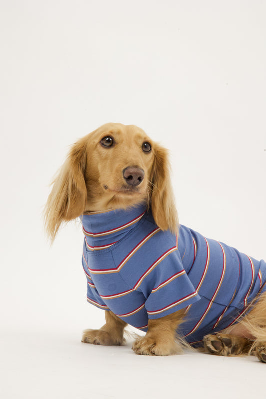 Sunday Blues Dog Shirt