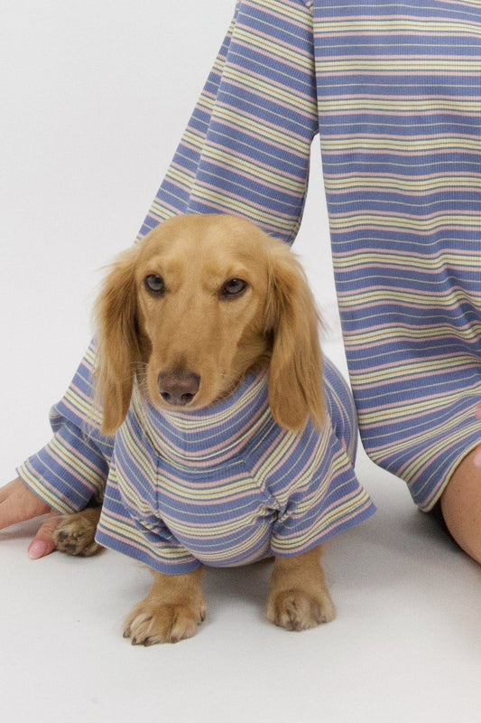 Blueberry Fields Dog Shirt