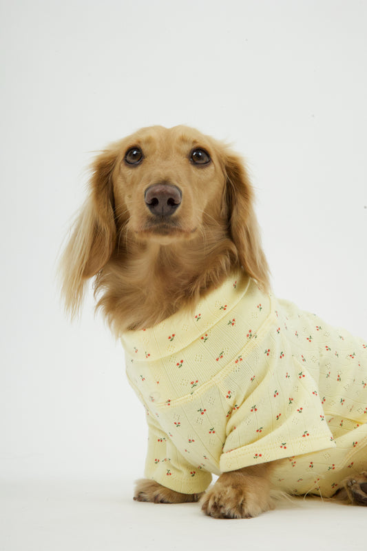 Buttercup Dog Shirt