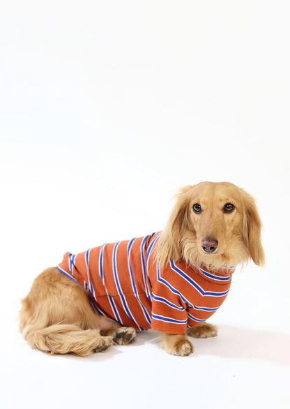 Maple Chestnut Dog Sweater