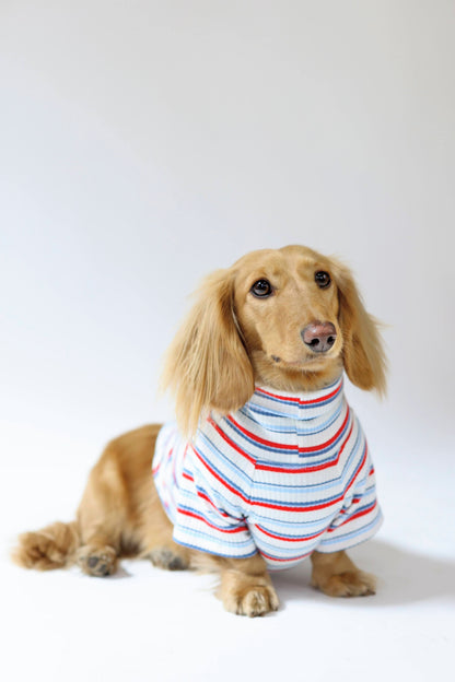 Ice Pop Dog Shirt