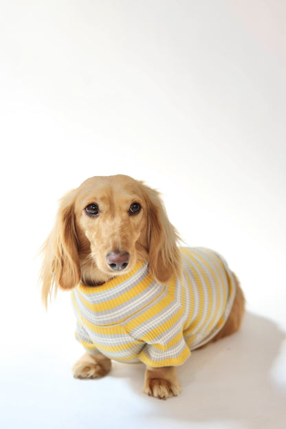 Honey & Haze Dog Shirt