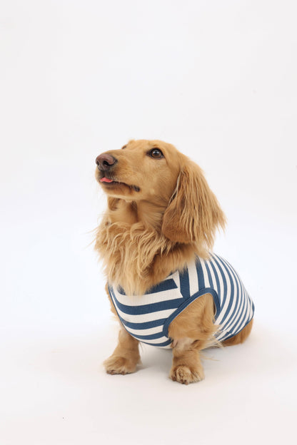 Coastal Blues Dog Shirt