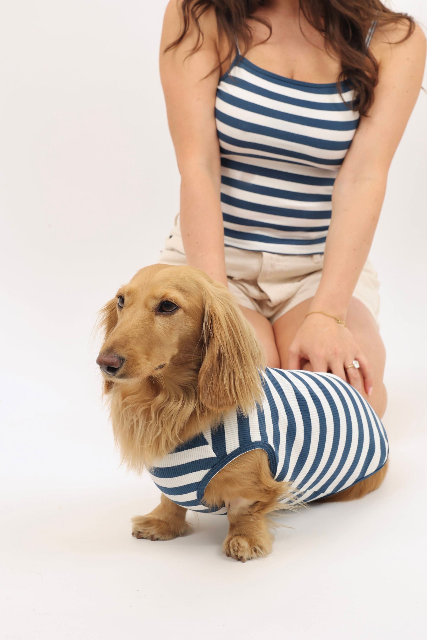 Coastal Blues Dog Shirt