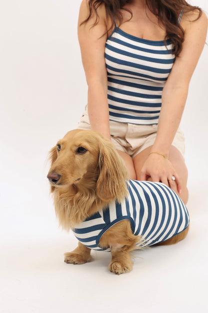 Coastal Blues Dog Shirt