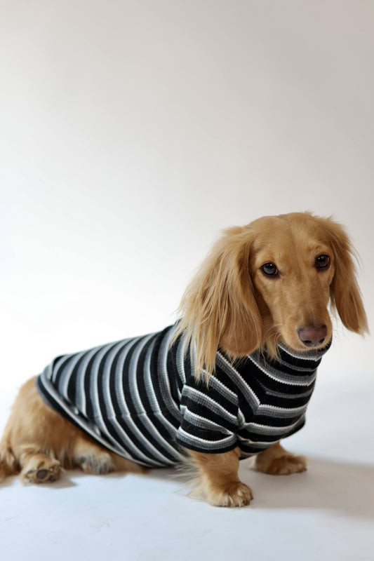 Midnight Mocha Dog Sweater