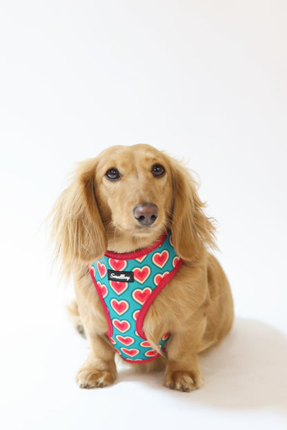 Sweetheart Harness