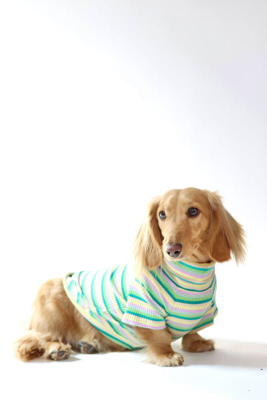 Pistachio Stripe Dog Shirt