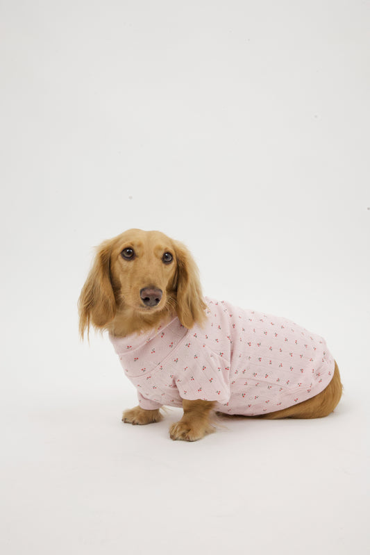 Cherry Cream Dog Shirt