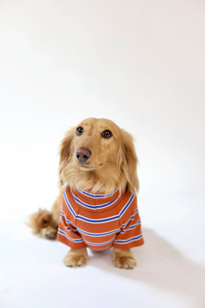 Maple Chestnut Dog Sweater