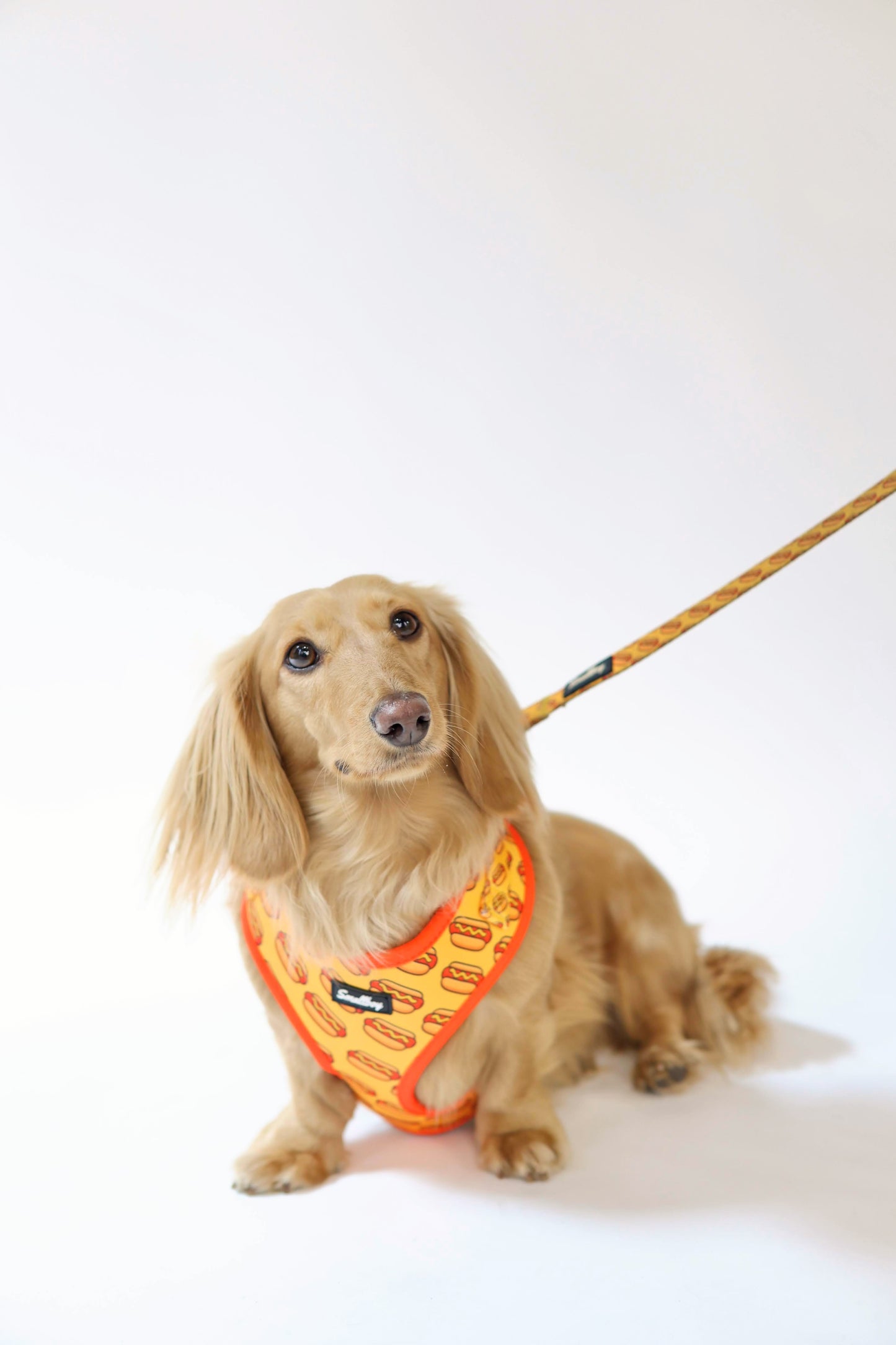 Hot Dog Leash