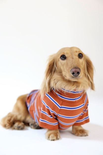Maple Chestnut Dog Sweater