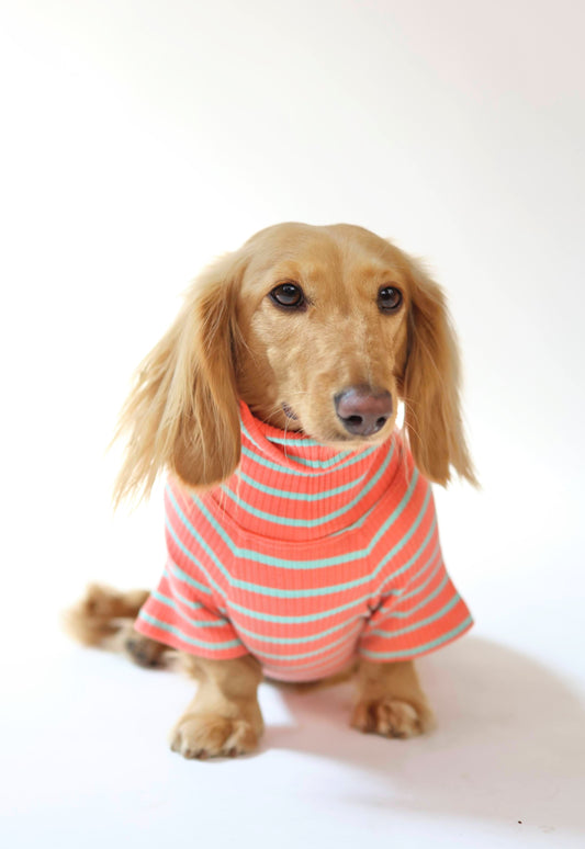 Coral Crush Dog Shirt