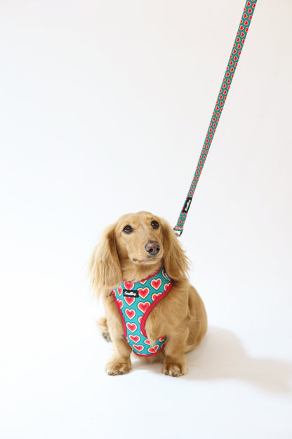 Sweetheart Leash