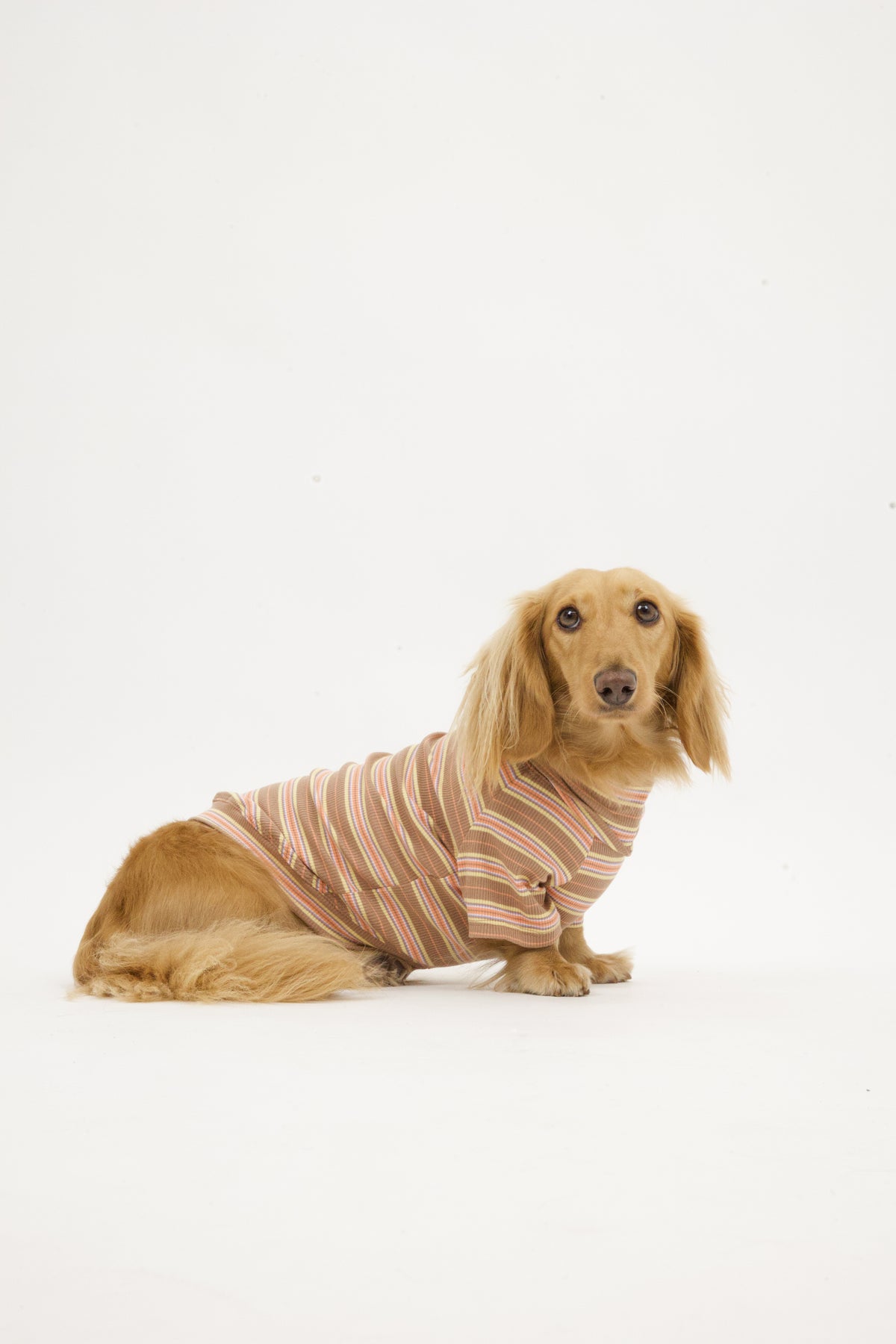 Cocoa Stripe Matching Set