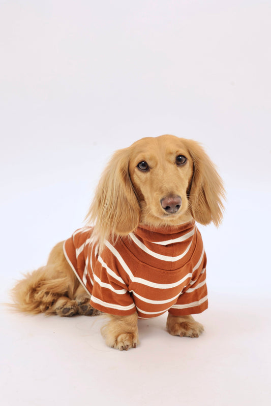 Brown Sugar & Charcoal Striped Dog Sweater