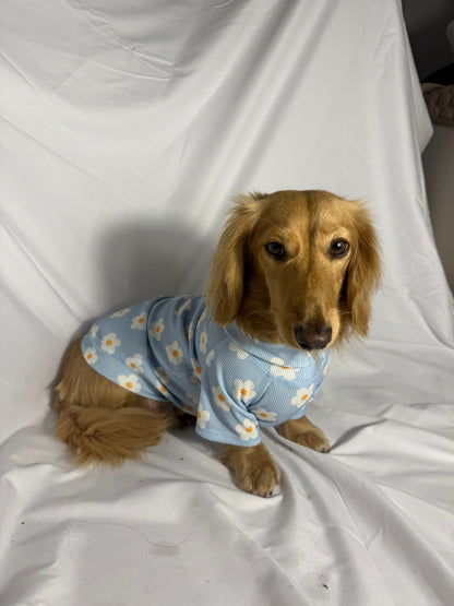 Spring Fling Dog Shirt