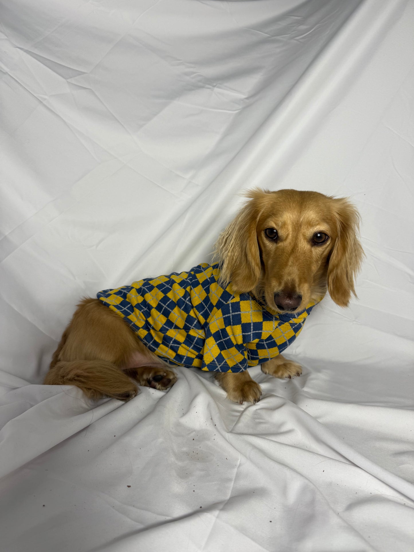 Study Break Sweater