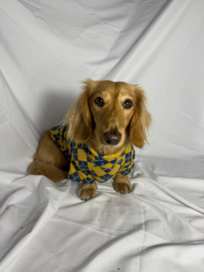 Study Break Sweater