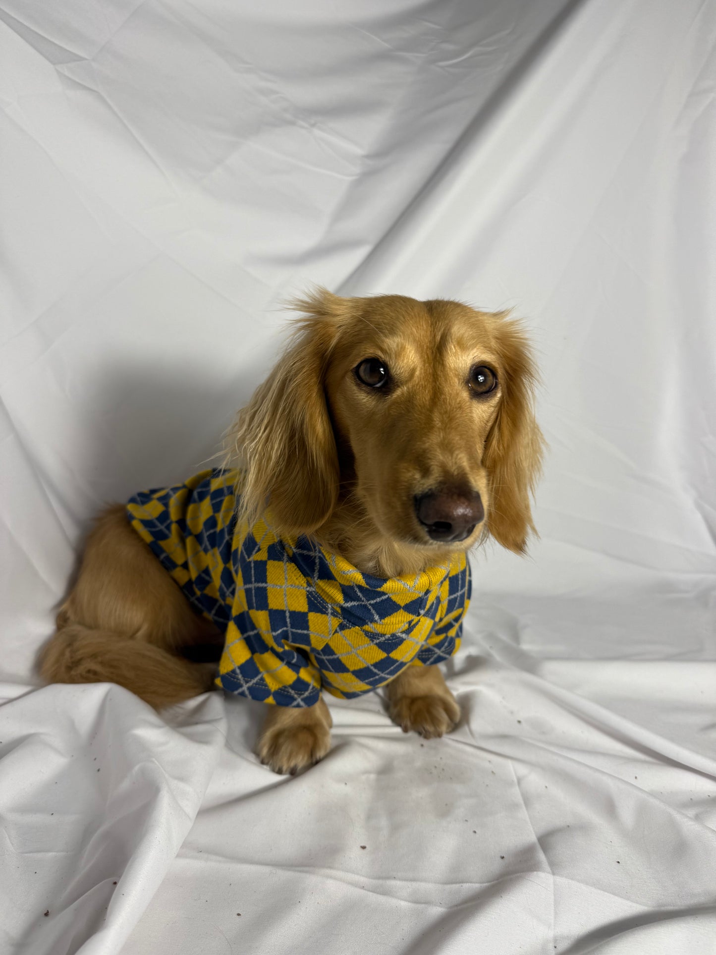 Study Break Sweater