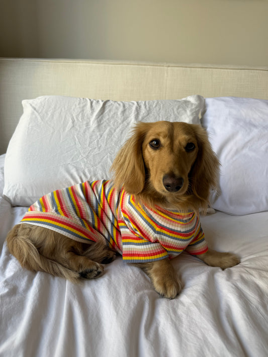 Retro Stripe Dog Shirt